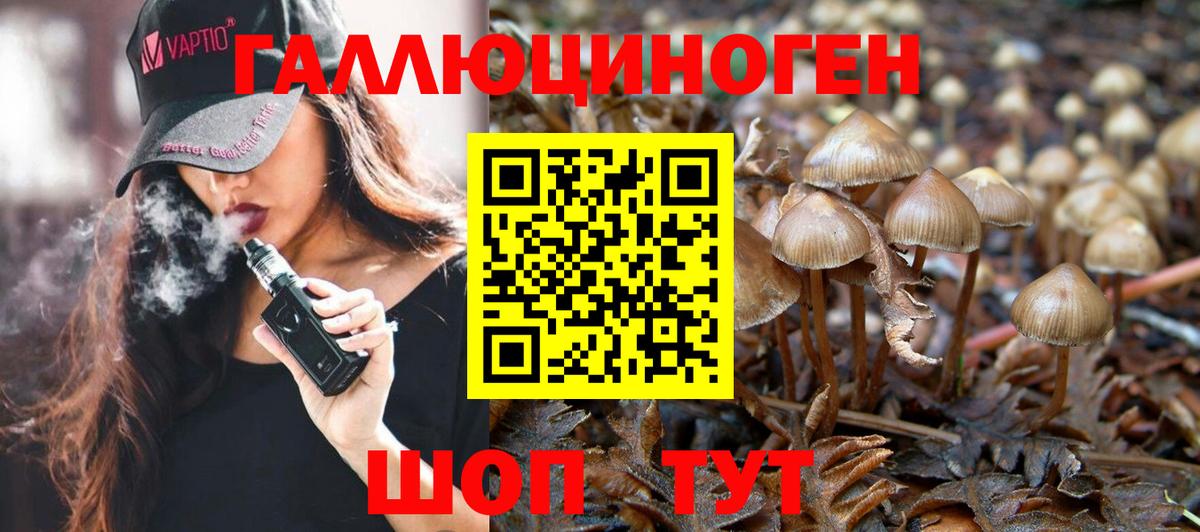 Галлюциногенные грибы Psilocybe Волжский