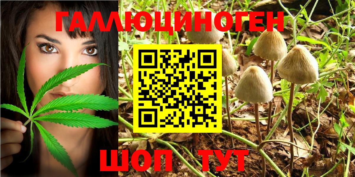 Псилоцибиновые грибы Magic Shrooms  Псилоцибиновые грибы Psilocybe  Вход с VPN  где купить наркоту  Волжский 