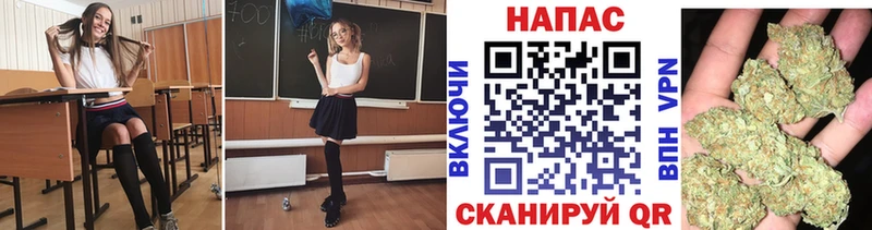 Бошки марихуана Amnesia  где найти наркотики  Волжский 